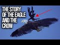 A Powerful Story About Rising Above Negativity THE EAGLE And CROW