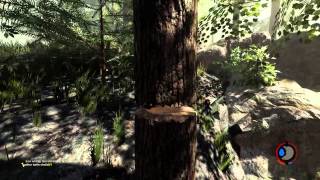 1 of 2 - The Forest (In Progress Game)