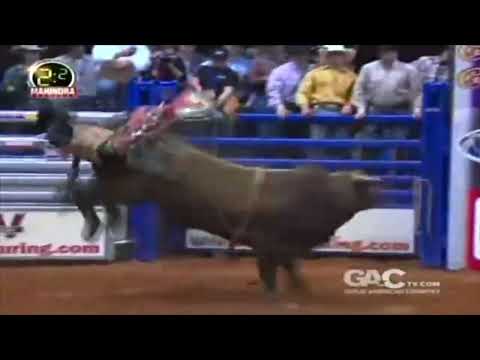 Jiminy Cricket bucks Kolt Miller - 08 CBR Biloxi