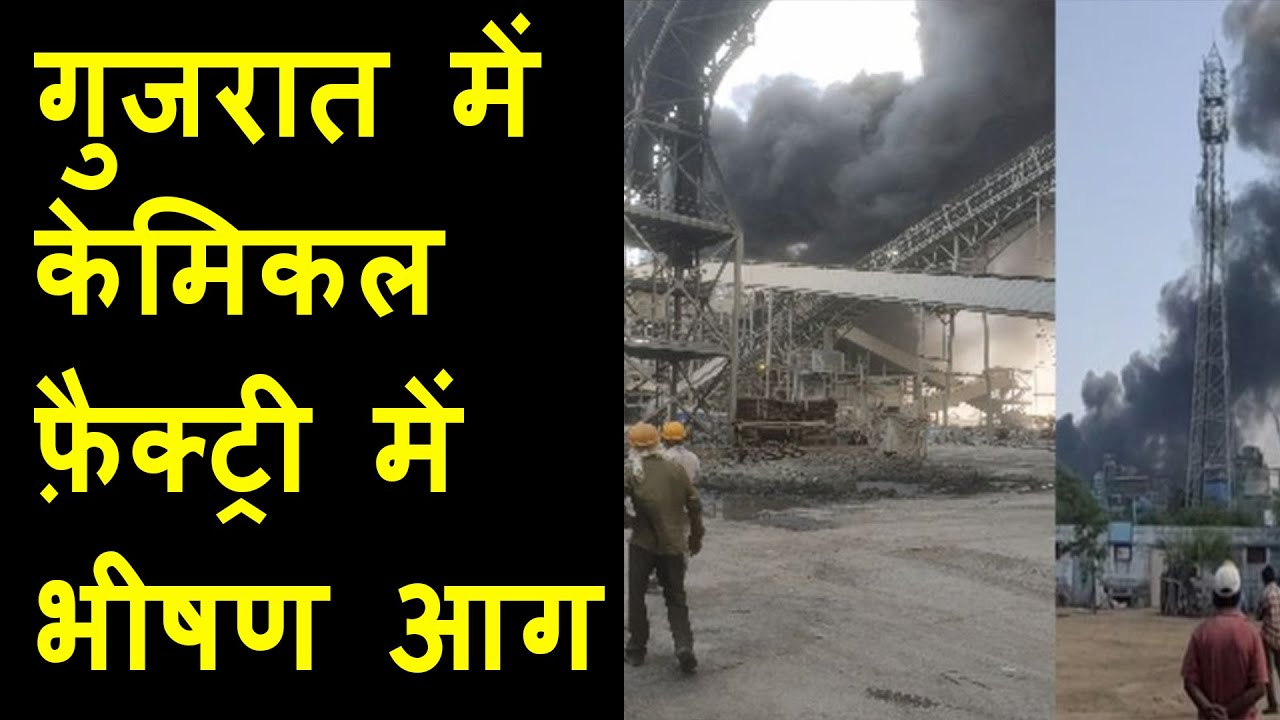 Fire breaks out in TATA company in Mithapur, Dwarka | Massive black cloud covers gujarat sky