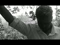 FULL VIDEO Chittu Kuruvi Song From Maaran