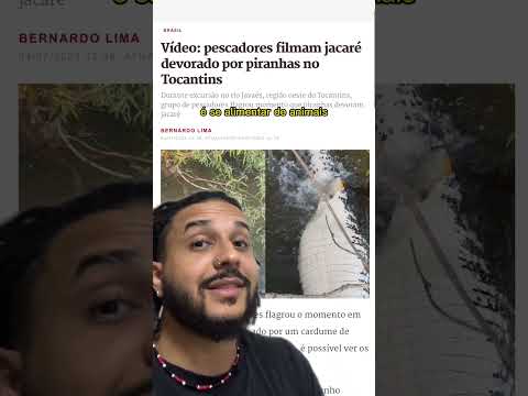 Piranhas DEVORANDO um JACARÉ! | Biomesquita