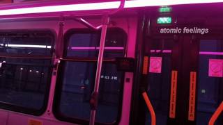 L*** Is a Bad Word - Kiiara tradução pt-br