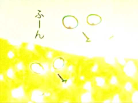 水尻自子「TRUTH」(2006)