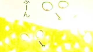 水尻自子「TRUTH」(2006)