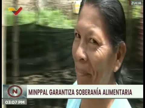 Zulia | Distribuyen 3 mil 680 módulos de alimentación en el Municipio Jesús María Semprúm