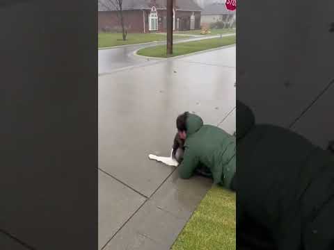 Husky Rolled by Wind—Owner Dives to Save Him!