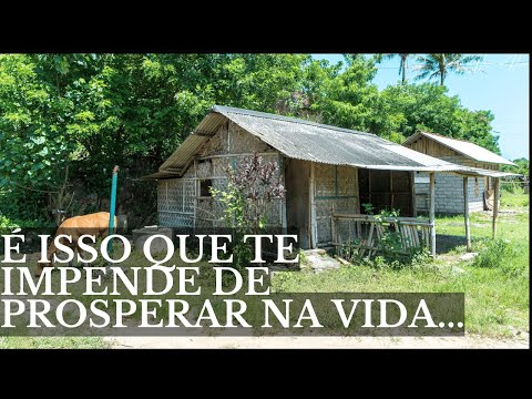 THE WISE MAN AND THE COW (A Surprising Story)