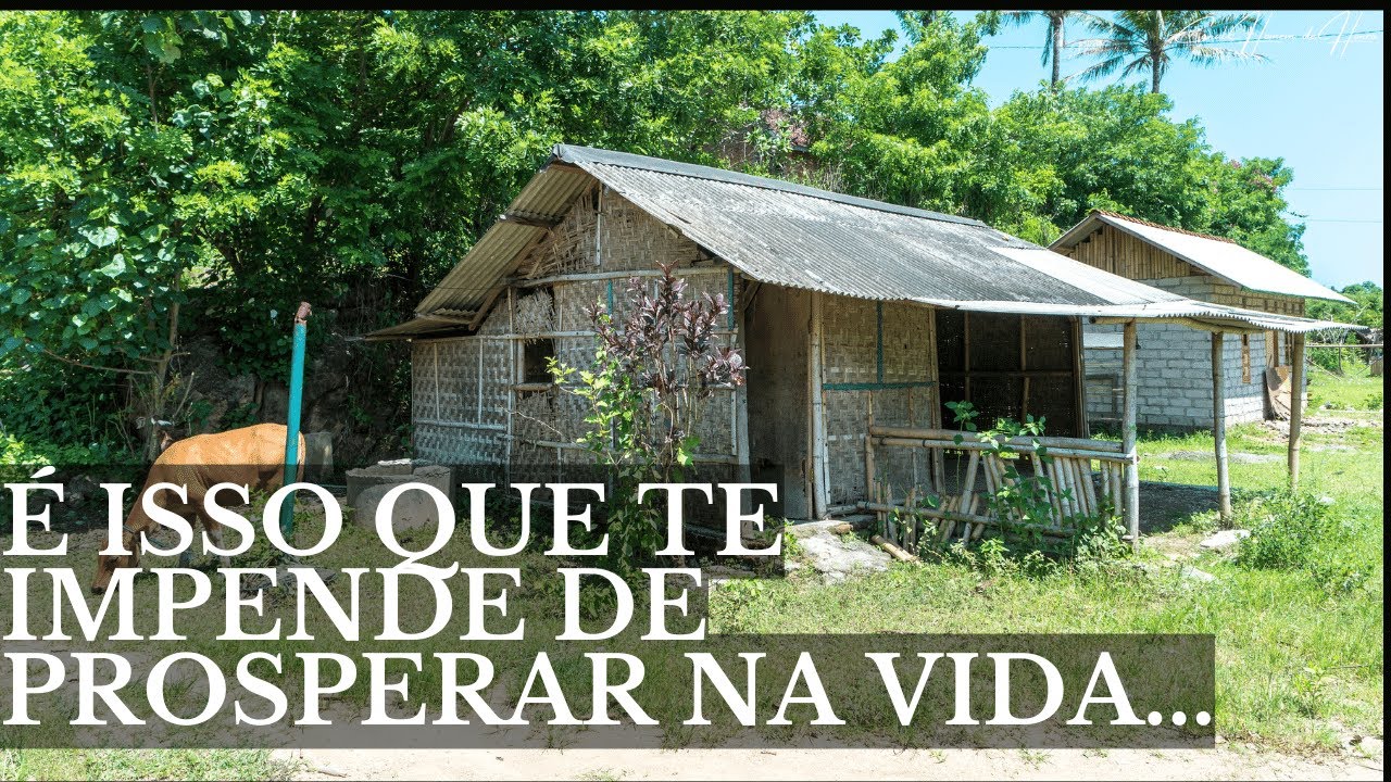 O SÁBIO E A VACA (Uma História Surpreendente)