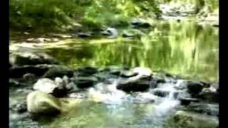 preview picture of video 'Tordera River, Montseny'