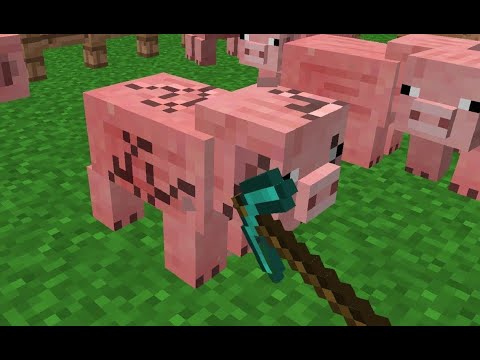 MUST SEE: Mind-Blowing ACN Direct from Minecraft