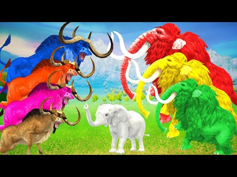 Animal Revolt Battle Simulator CARTOON CAT T REX vs RED BATMAN T REX vs SPIDERMAN DEATH FALL