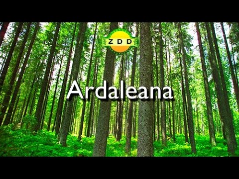 VALLE E ZAGORISË - ALBANIE