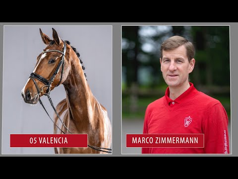 Summer Auction Training Video Lot 5 Valencia Mare by Valverde - San Romantiko