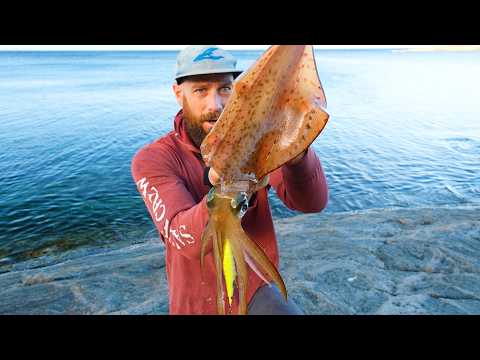 Epic South Coast Squid Session