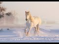 Le petit Cheval Blanc  Georges Brassens - Youtube André Saad Visite gratuite