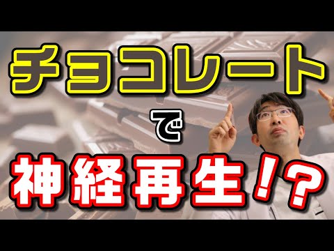 ダークチョコレートを毎日食べるとこうなる