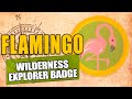 How To Earn The Flamingo Badge At Disney S Animal Kingdom