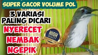Download lagu SNIPER GACOR TEPUS DADA PUTIH GACOR NEMBAK VARIASI BANYAK DICARI YANG LAGI VIRAL mp3 Download lagu SNIPER GACOR TEPUS DADA PUTIH GACOR NEMBAK VARIASI BANYAK DICARI YANG LAGI VIRAL mp3