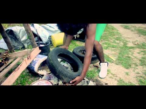 Harvey & Scrappy W versus Chikungunya