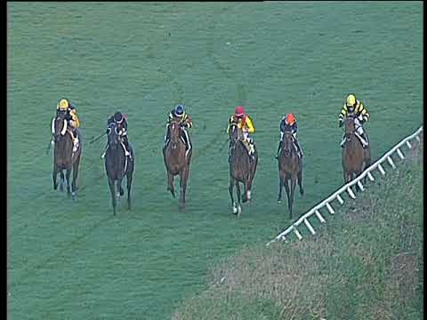 Galoppo 20/01/2018 - 3ª corsa