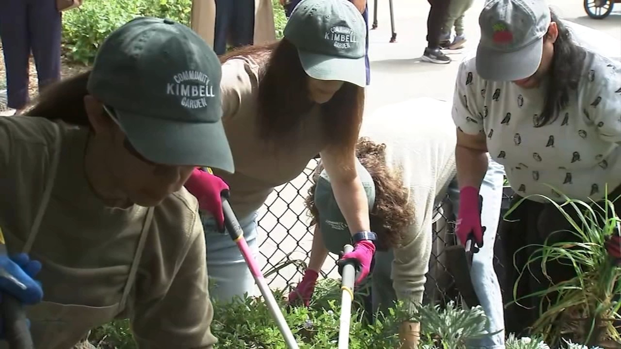 SF gives $3.3 million to residents, nonprofits with projects to beautify the city: Here's a list