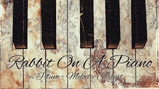 토끼처럼 통통 튀는 피아노곡 / Rabbit on a Piano by Plum
