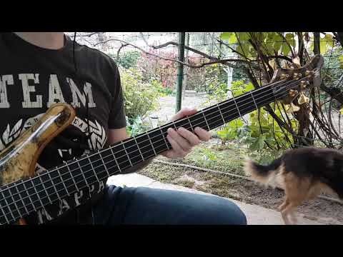 Демонстрация звучания Markbass Marcus Miller CMD 101 Micro 60