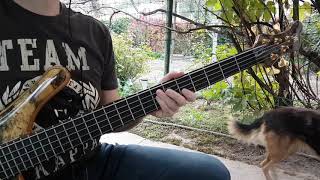 Video thumbnail for Markbass Marcus Miller cmd 101 micro 60 - sound test by Vitaliy Shaposhnikov