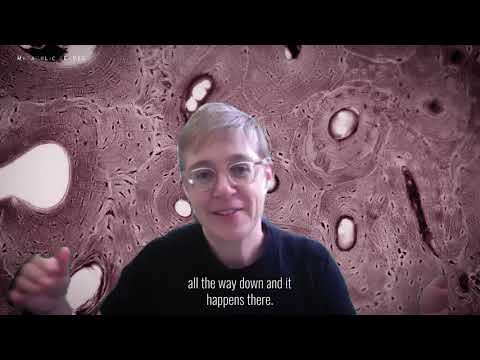 Metabolic Selves | In Conversation: Hannah Landecker, Kumi Naidoo and Susan Schuppli