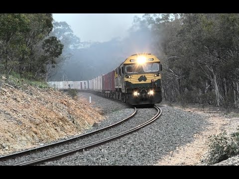 G523-XR559-X50 on 7901V near Dunolly.   21-09-19.   07.33.12.