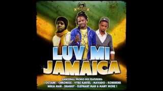 LUV MESSENGER LUV MI JAMAICA DANCEHALL MIX 2013