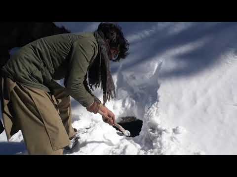 Unbelievable Finding water in deep snow Hunting of water | by Hunting and Hiking
