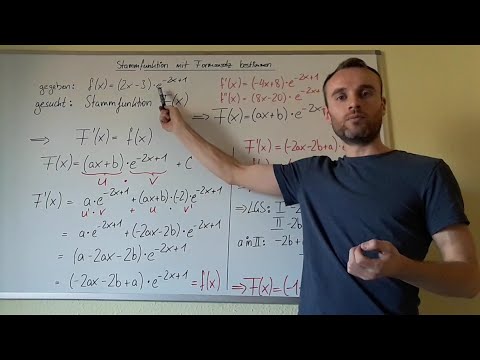 Stammfunktion mit Formansatz bestimmen, lineare Funktion mal e-Funktion, Idee und Vorgehensweise