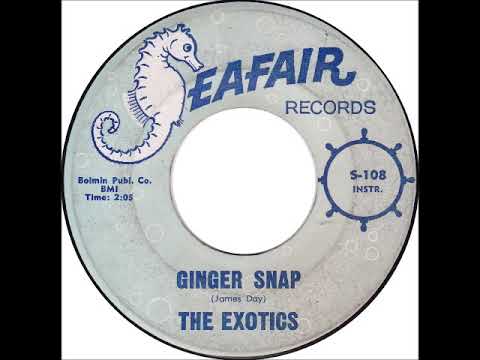 The Exotics: "Ginger Snap"