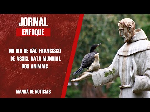 Animais tem data comemorativa e merecem atenção especial