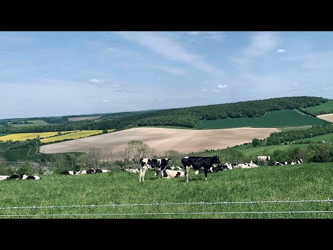 Solo Hiking the South Downs Way in 5 Days