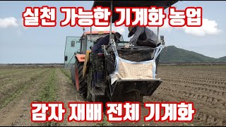 이제 감자 수확도 정식 부터 수확까지 기계화로 갑니다. 인건비때문에 못살겠어요!! 전국 유일하게 소개하는 감…