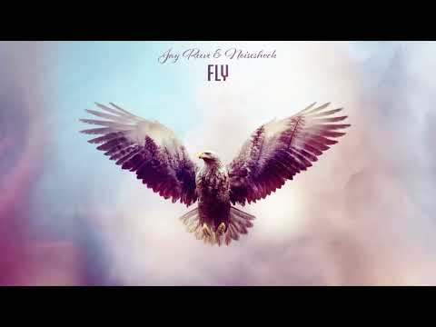 Video thumbnail for Fly