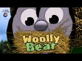 Woolly Bear Blue Train With Friends