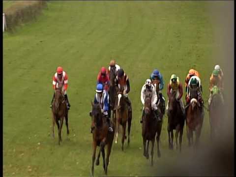 Galopprennbahn Dresden - 16.11.2016 - 5.Rennen