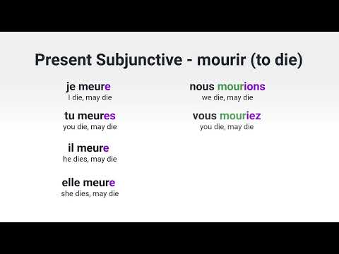 What Is the Present Subjunctive of avoir to have in French