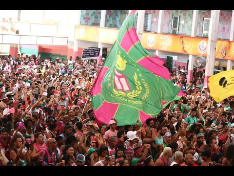 Mangueira campeã do carnaval 2019 #apuração