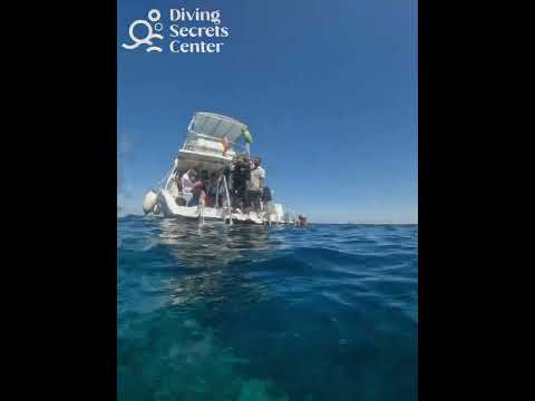 @divingsecretscenter   ............           Diving Trip 17/03/2023