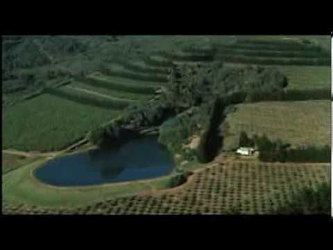 The Wicker Man - Corn Rigs - Paul Giovanni