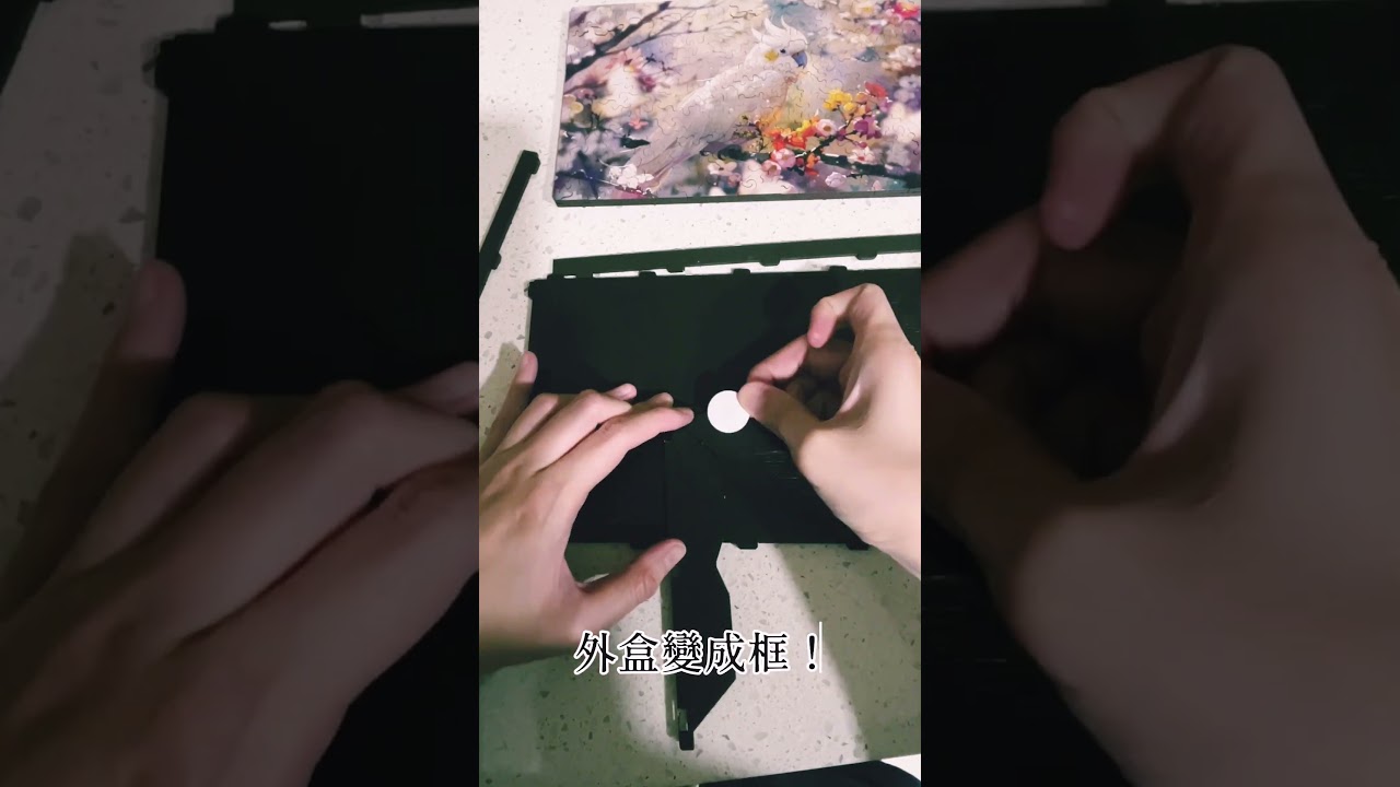 不怕掉的壁虎拼圖【翅膀上的夢】開箱,內建框 立即展示!