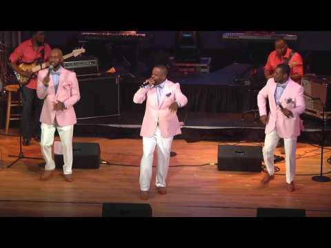 Virginia Aires - You Should Have Been There