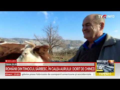 Românii din Timocul Sârbesc, în calea aurului dorit de chinezi. Multe sate, în pericol să dispară