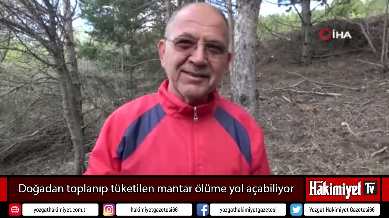 Doğadan toplanıp tüketilen mantar ölüme yol açabiliyor