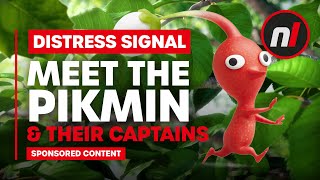 Meet the Pikmin & their Captains - Pikmin 3 Deluxe